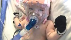 심장병 힘겹게 이겨낸 생후 6개월 아기가 퇴원 직전 코로나에 걸렸다