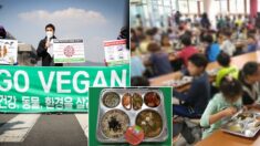 서울 학생들, 한 달에 2번 ‘채식 급식’ 먹는다