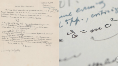 아인슈타인이 직접 쓴 ‘E=mc²’ 공식 담긴 편지, 14억원에 팔렸다