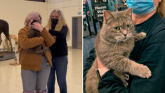 집 나가 2400㎞ 종단한 미국 고양이, 7년 만에 주인 만났다