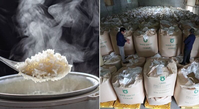 밥 한 공기 값 220원 수준 ‘쌀값 폭락’.. 국내 쌀농가 붕괴 위기