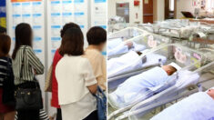 “한국 여성은 출산 파업 중” 한국의 낮은 출산율 조명한 BBC