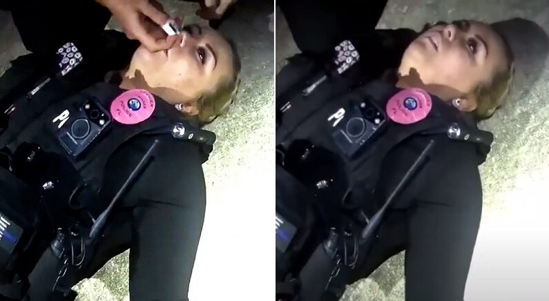 마약 단속하던 경찰, 바람에 날린 펜타닐에 기절했다 (바디캠 영상)