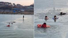 천안 저수지에 빠진 친구 한 명 구하려다 줄줄이 물에 빠진 중학생들